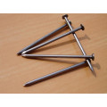 Low Carbon Polished Common Wire Nails